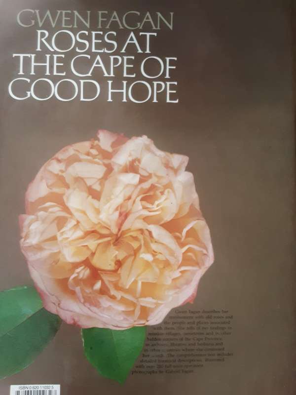 Roses at The Cape of Good Hope by Gwen Fagan