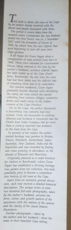 Roses at The Cape of Good Hope by Gwen Fagan