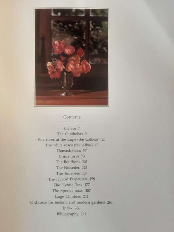 Roses at The Cape of Good Hope by Gwen Fagan