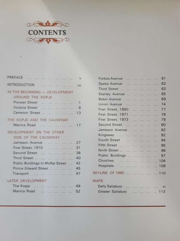 Salisbury's Changing Skyline 1890 1980 by Alex D Jack with text by D G Cobban