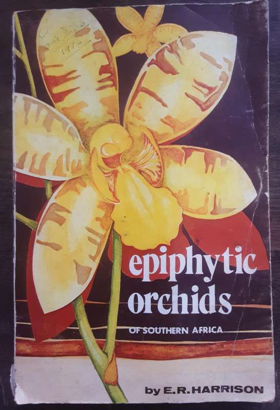 Epiphytic Orchids of southern Africa by E R Harrington