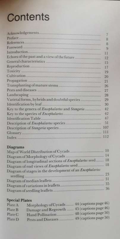 Cycads of South Africa  by Cynthia Giddy