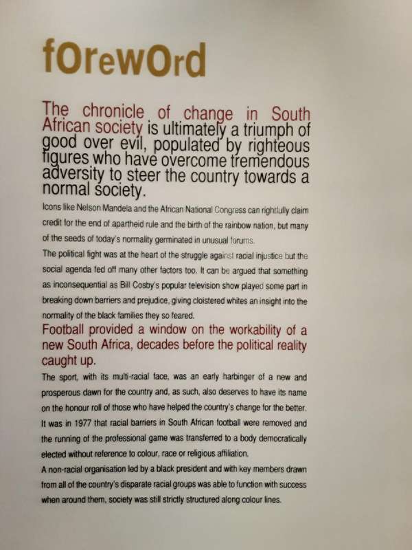 Soccer Chic, Soccer Life the South African Way by Craig Fraser