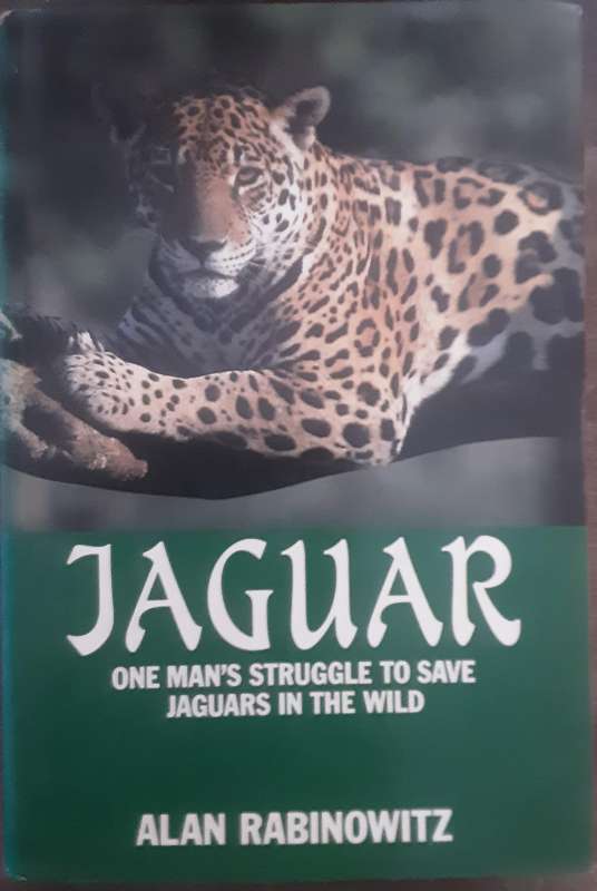 Jaguar, One Man's Struggle to Save Jaguars in the Wild by Alan Rabinowitz
