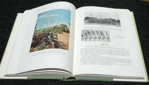 The Aloes of Tropical Africa and Madagascar -- G.W. Reynolds