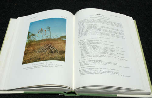 The Aloes of Tropical Africa and Madagascar -- G.W. Reynolds