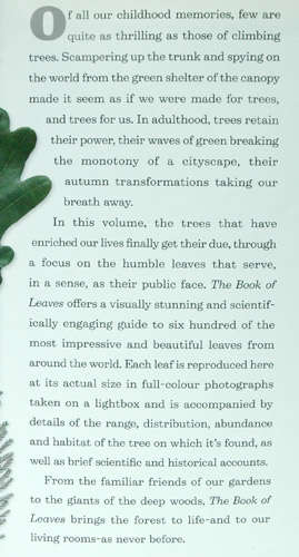 The Book of Leaves - Allen Coombes, Zsolt Debreczy (editor)