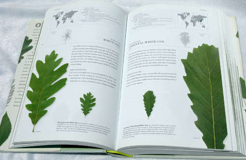 The Book of Leaves - Allen Coombes, Zsolt Debreczy (editor)