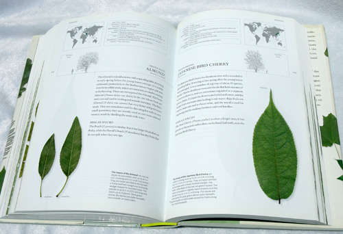 The Book of Leaves - Allen Coombes, Zsolt Debreczy (editor)