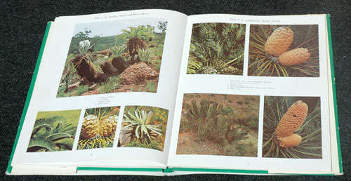 Cycads of South Africa & Encephalartos Journal of the Cycad Society of Southern Africa No.9