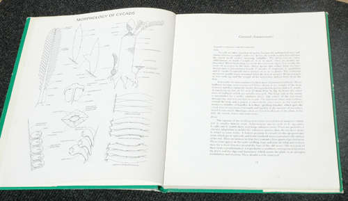 Cycads of South Africa & Encephalartos Journal of the Cycad Society of Southern Africa No.9
