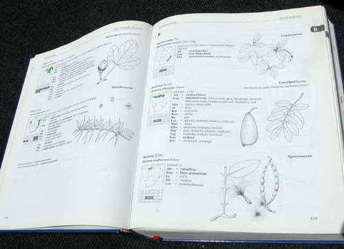 Dictionary of names for southern African trees - Braam van Wyk, E van den Berg, Meg Coates Palgrave