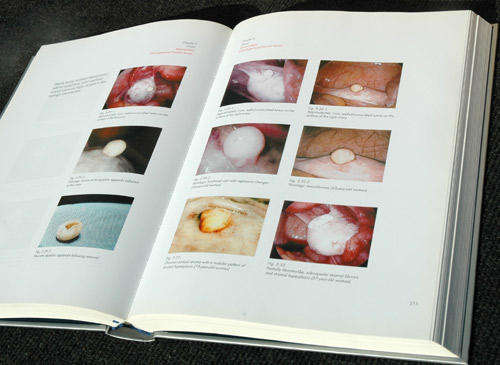 Diseases of the Female Abdomen and Pelvis - A Colour Atlas -- Mathias Hesseling