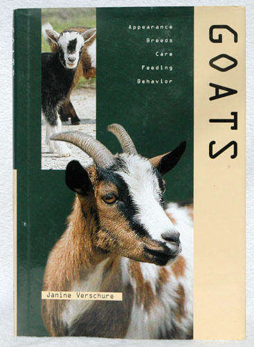 Goats -- Janine Verschure