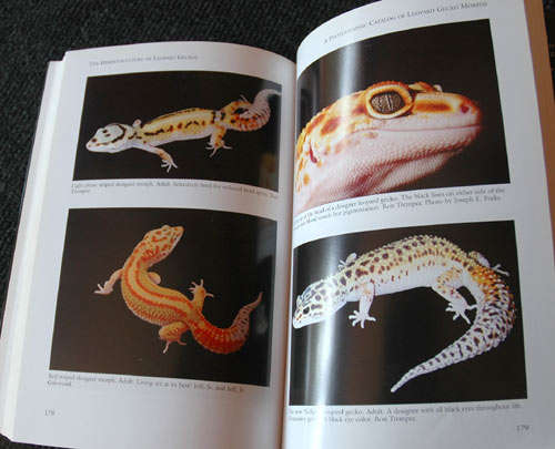 The Herpetoculture of Leopard Geckos - Philippe de Vosjoli