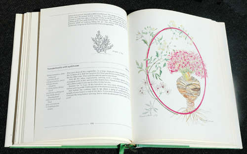 Indigenous Healing Plants -- Margaret Roberts (Hardcover, 1st ed)