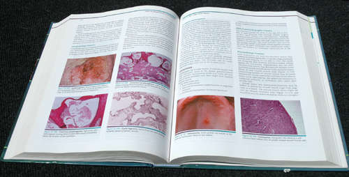 Oral and Maxillofacial Pathology -- Neville, Damm, Allen, Bouquot