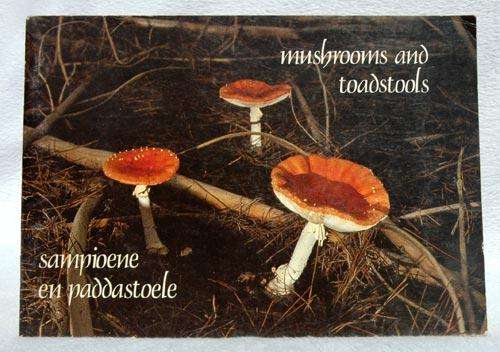 Sampioene en Paddastoele Mushrroms and Toadstools -- G.C.A. Van Der Westhuizen