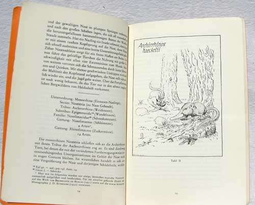 Bau und Leben der Rhinogradentia by Professor Dr. Harald Stümpke
