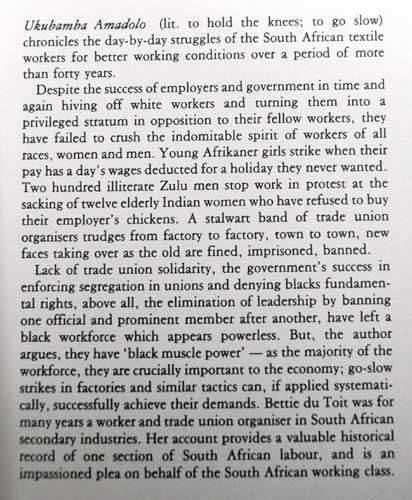Ukubamba Amadolo - Workers' Struggles in the South African Textile Industry -- Bettie du Toit