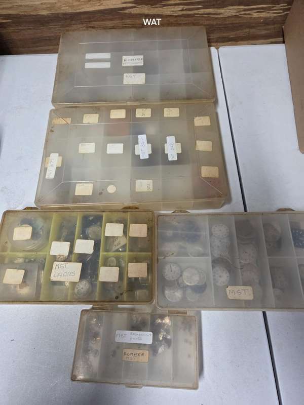 MST Roamer  Spare Parts, cases and watch projects