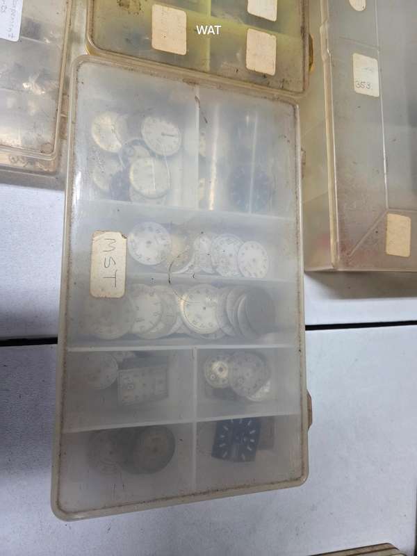 MST Roamer  Spare Parts, cases and watch projects