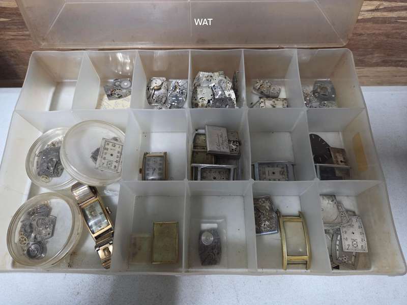 MST Roamer  Spare Parts, cases and watch projects