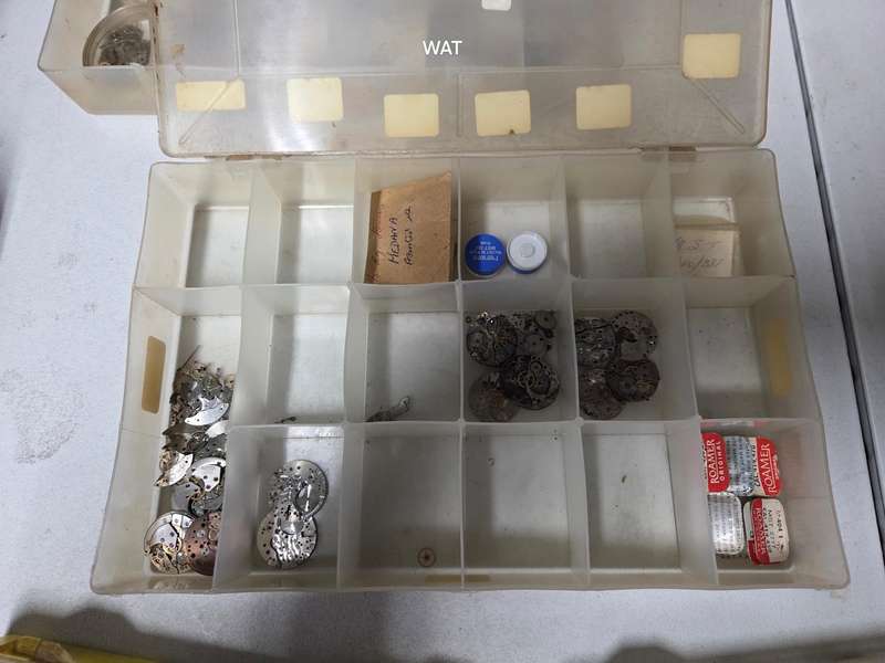 MST Roamer  Spare Parts, cases and watch projects