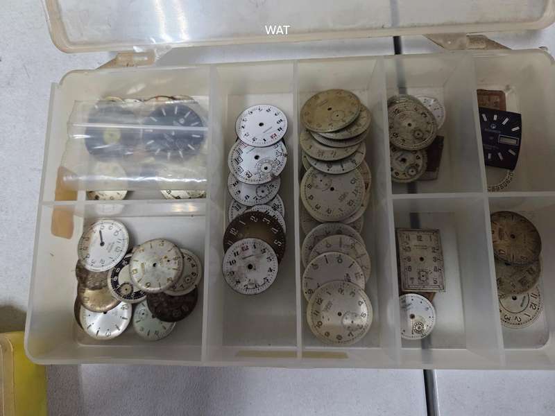 MST Roamer  Spare Parts, cases and watch projects