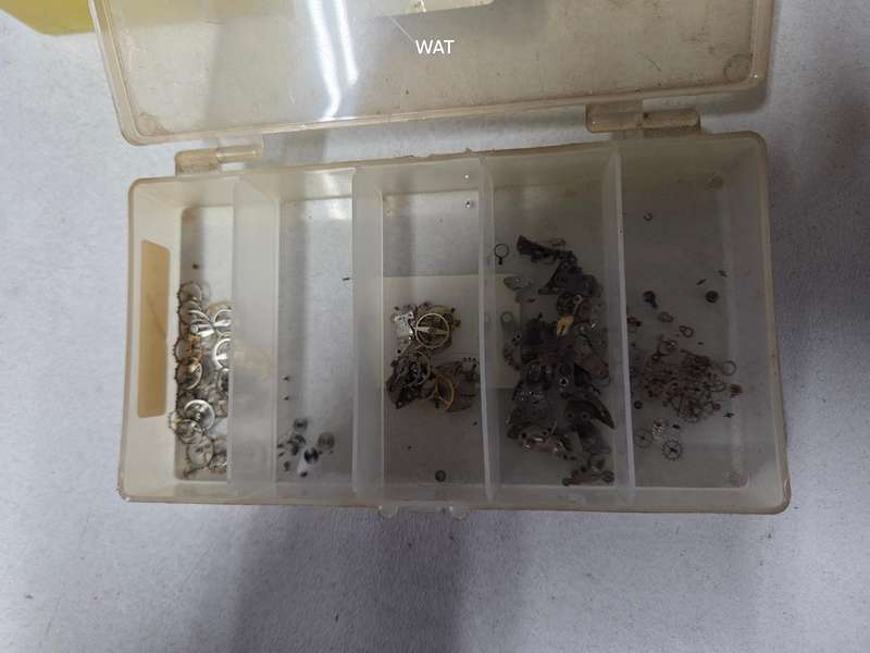 MST Roamer  Spare Parts, cases and watch projects