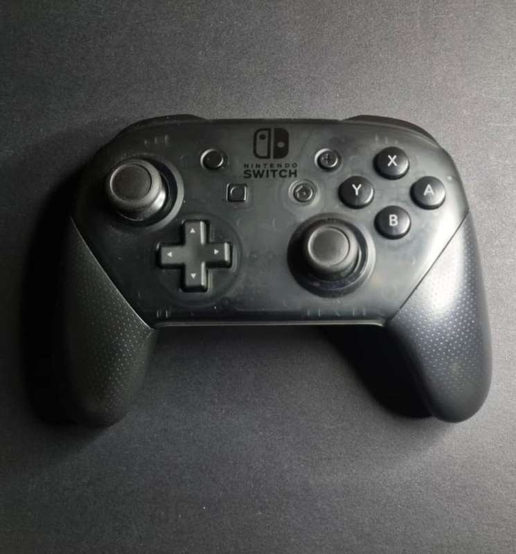 Limited Edition Animal Crossing Edition Nintendo Switch