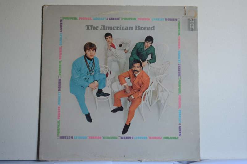 THE AMERICAN BREED -