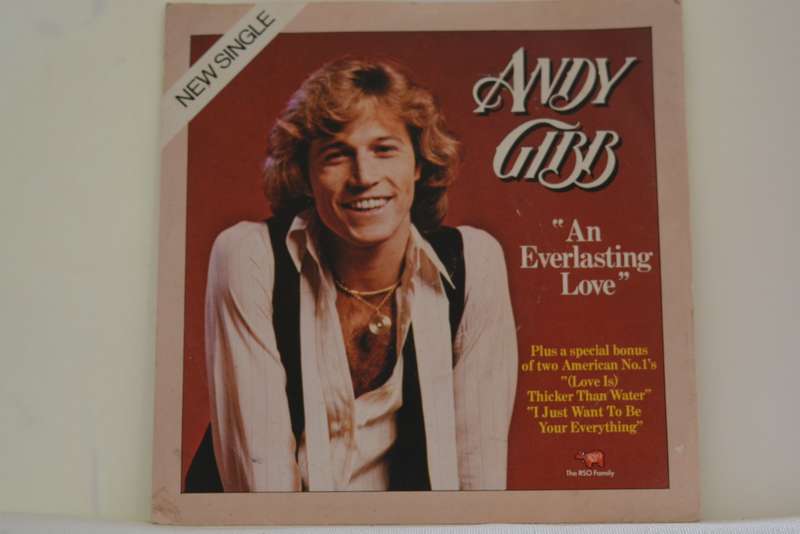 ANDY GIBB - AN EVERLASTING LOVE - VG/VG+