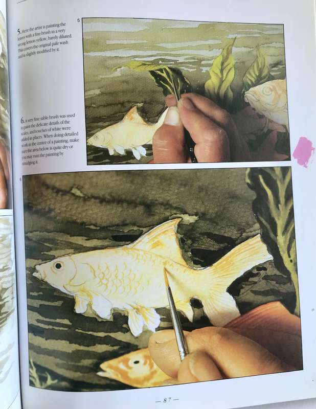 An Introduction to Painting in Watercolour