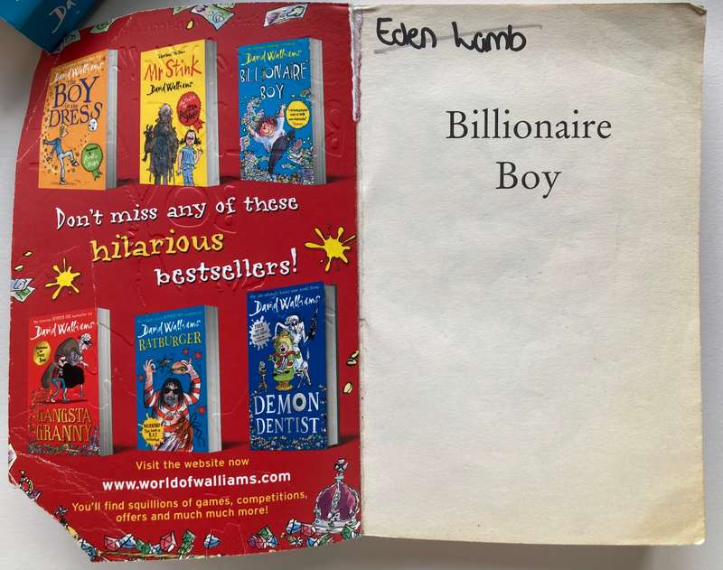 Billionaire Boy