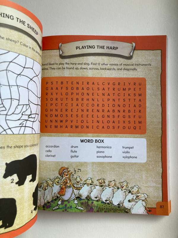 Activity Bible for Young Minds