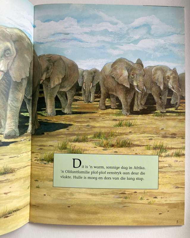 Judi die olifant