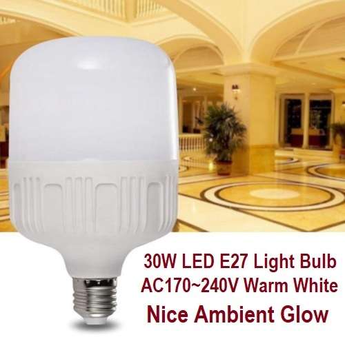 Clearance Special On Warm White 30W LED E27 Light Bulb, Lamp, Globe AC170~240V. Collections Allowed.