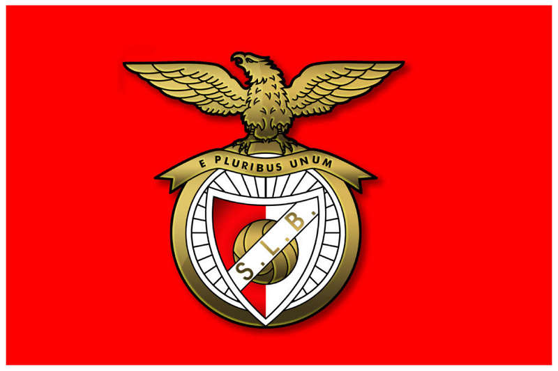 Unique And Novelty S.L. Benfica Football Club Ice Buckets. Brand New Products. Collections Allowed.