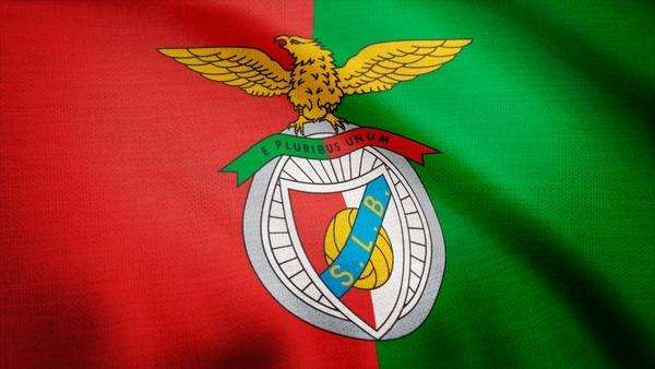 S.L. Benfica Football Club Ice Buckets. Brand New Unique And Novelty Products. Collections Allowed.