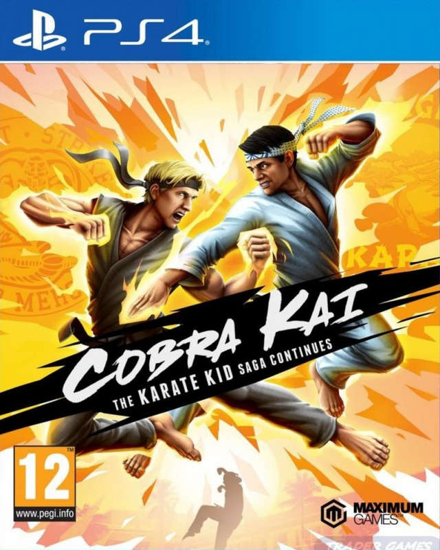 Cobra Kai The Karate Kid Saga Continues   PS4