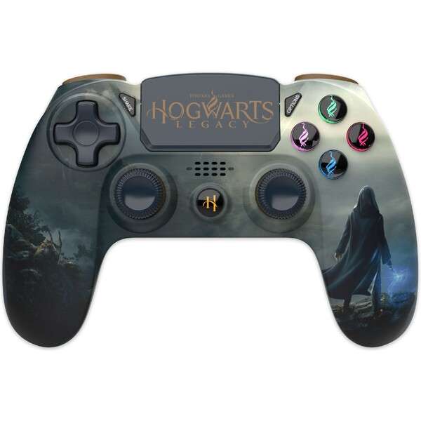 PS4 Controller Hogwarts Legacy Landscape