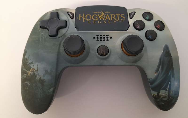 PS4 Controller Hogwarts Legacy Landscape