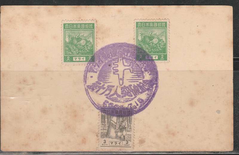 A LOVELY CHINA POST CARD LOOK SCAN X 2