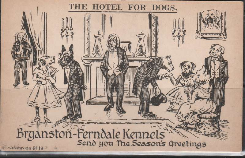 A POST CARD THE HOTEL FOR DOGS NOT MAILED USED LOOK SCAN X2