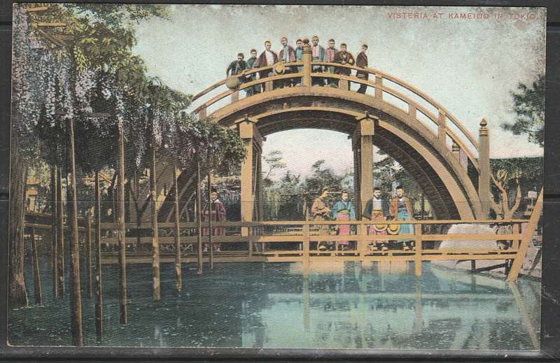 A COLOUR POST CARD VISTERIA AT KAMEIDO IN TOKYO MINT LOOK SCAN