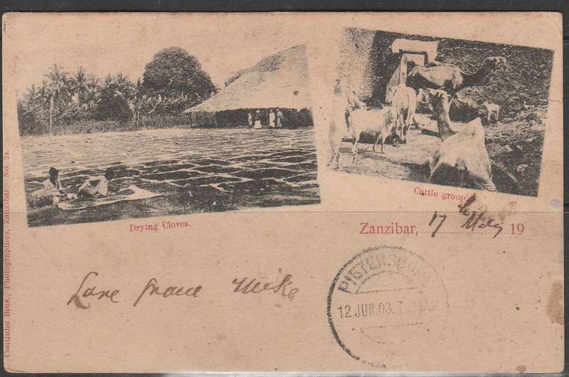 A PICTURE POST CARD FROM ZANZIBAR 1903 TO SOUTH AFRICA TAXED CANCELLATIONS LOOK SCAN X 2