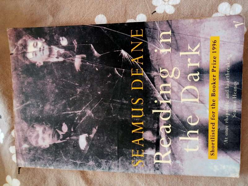 Reading in the Dark | Seamus Deane (Paperback)