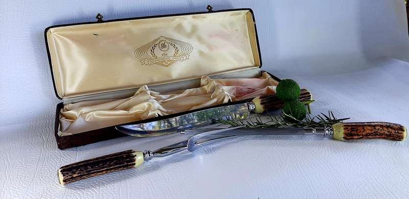 VINTAGE GLO HILL BONE HANDLE CARVING SET