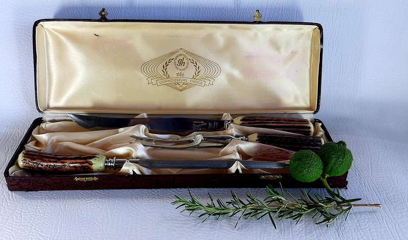 VINTAGE GLO HILL BONE HANDLE CARVING SET